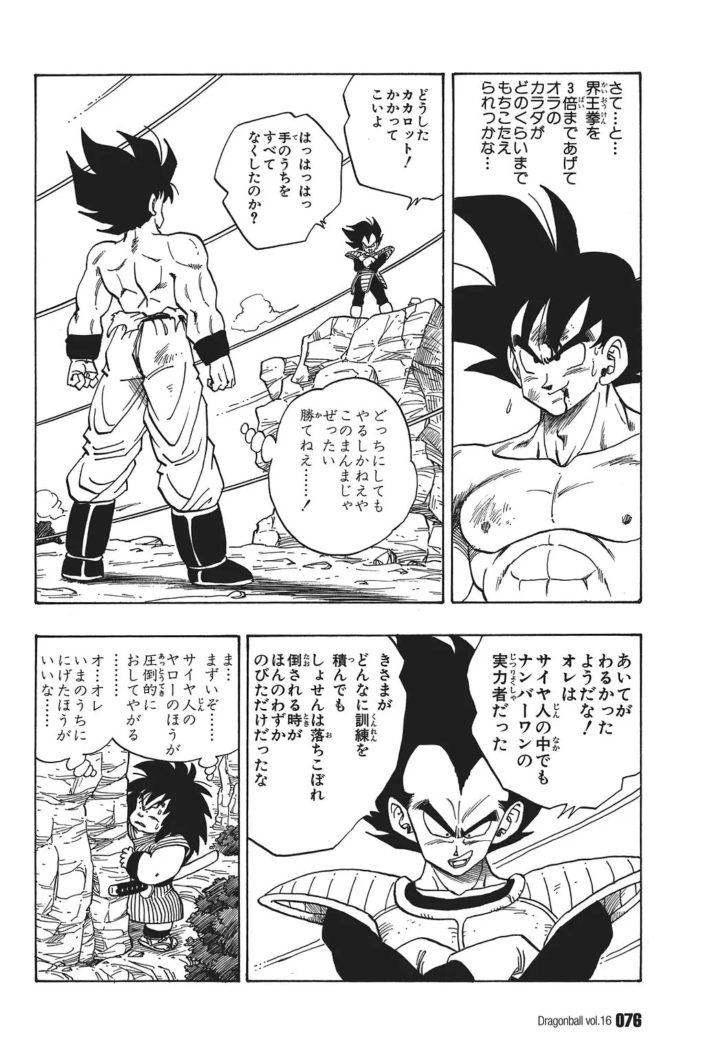 Chapitre 16 — Dragon Ball Kanzenban Vol. 16 — page 81