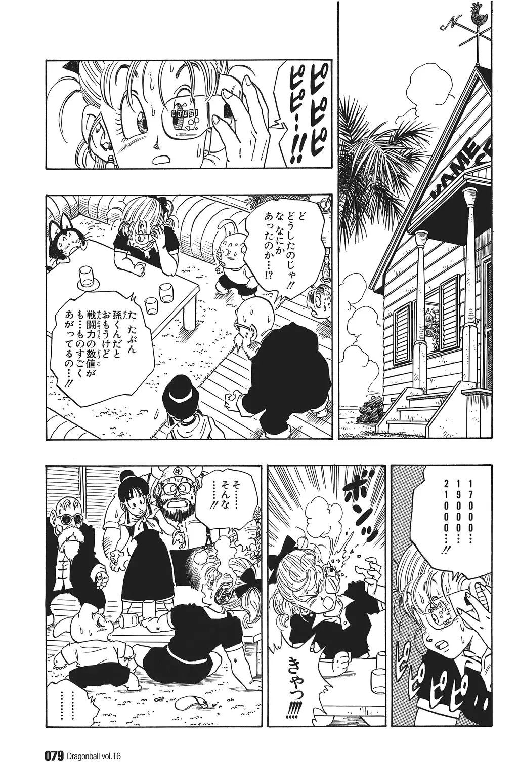 Chapitre 16 — Dragon Ball Kanzenban Vol. 16 — page 84