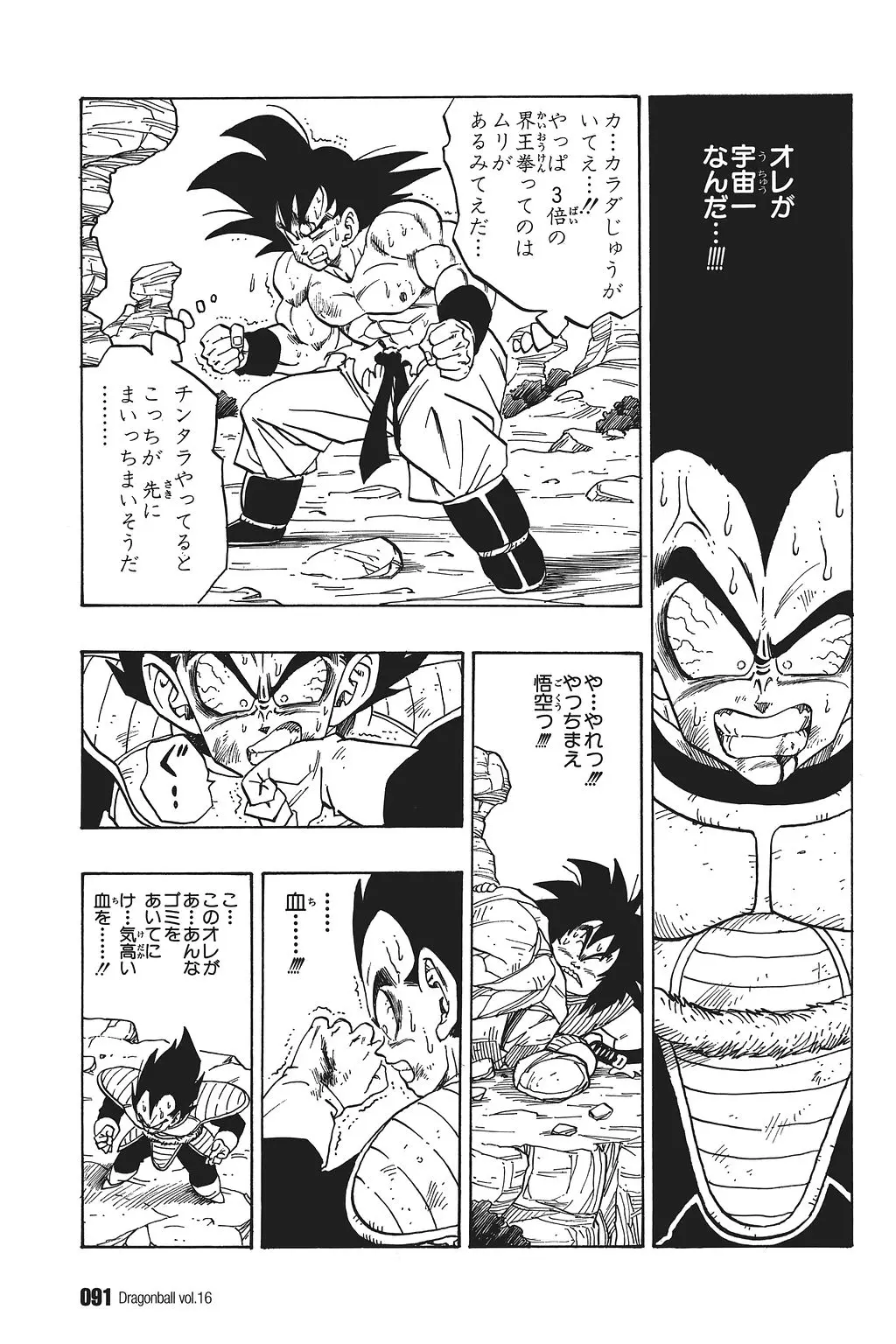 Chapitre 16 — Dragon Ball Kanzenban Vol. 16 — page 96