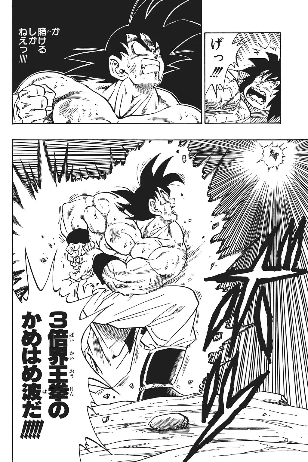 Chapitre 16 — Dragon Ball Kanzenban Vol. 16 — page 99