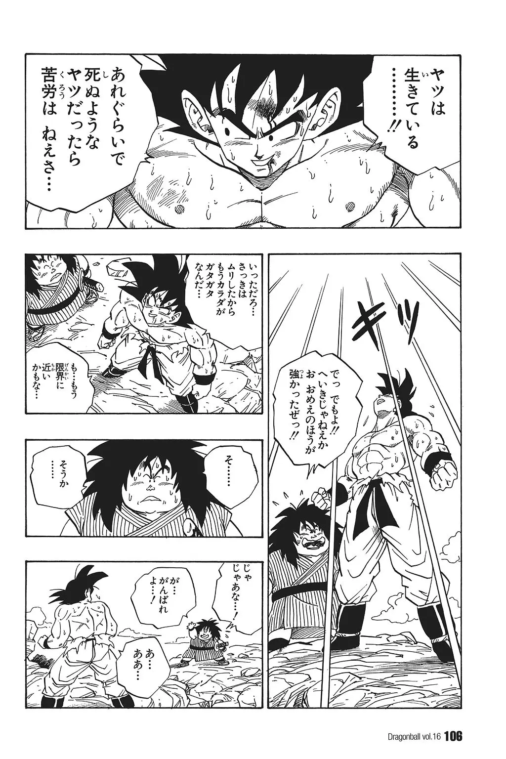 Chapitre 16 — Dragon Ball Kanzenban Vol. 16 — page 111