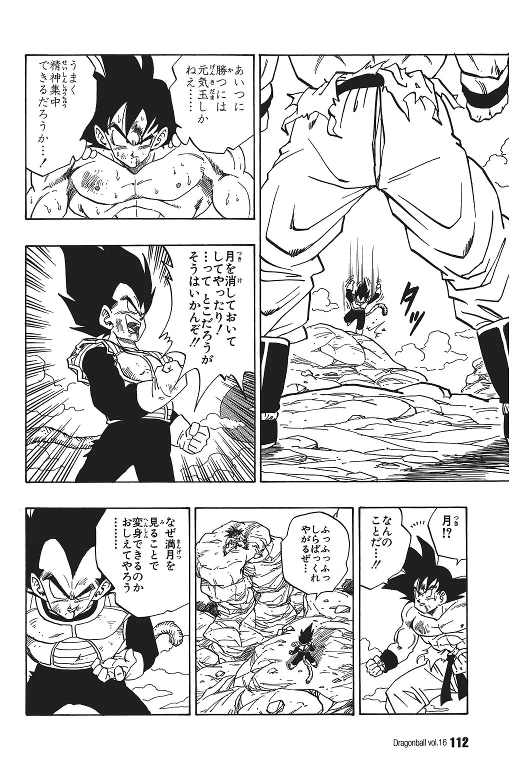 Chapitre 16 — Dragon Ball Kanzenban Vol. 16 — page 117