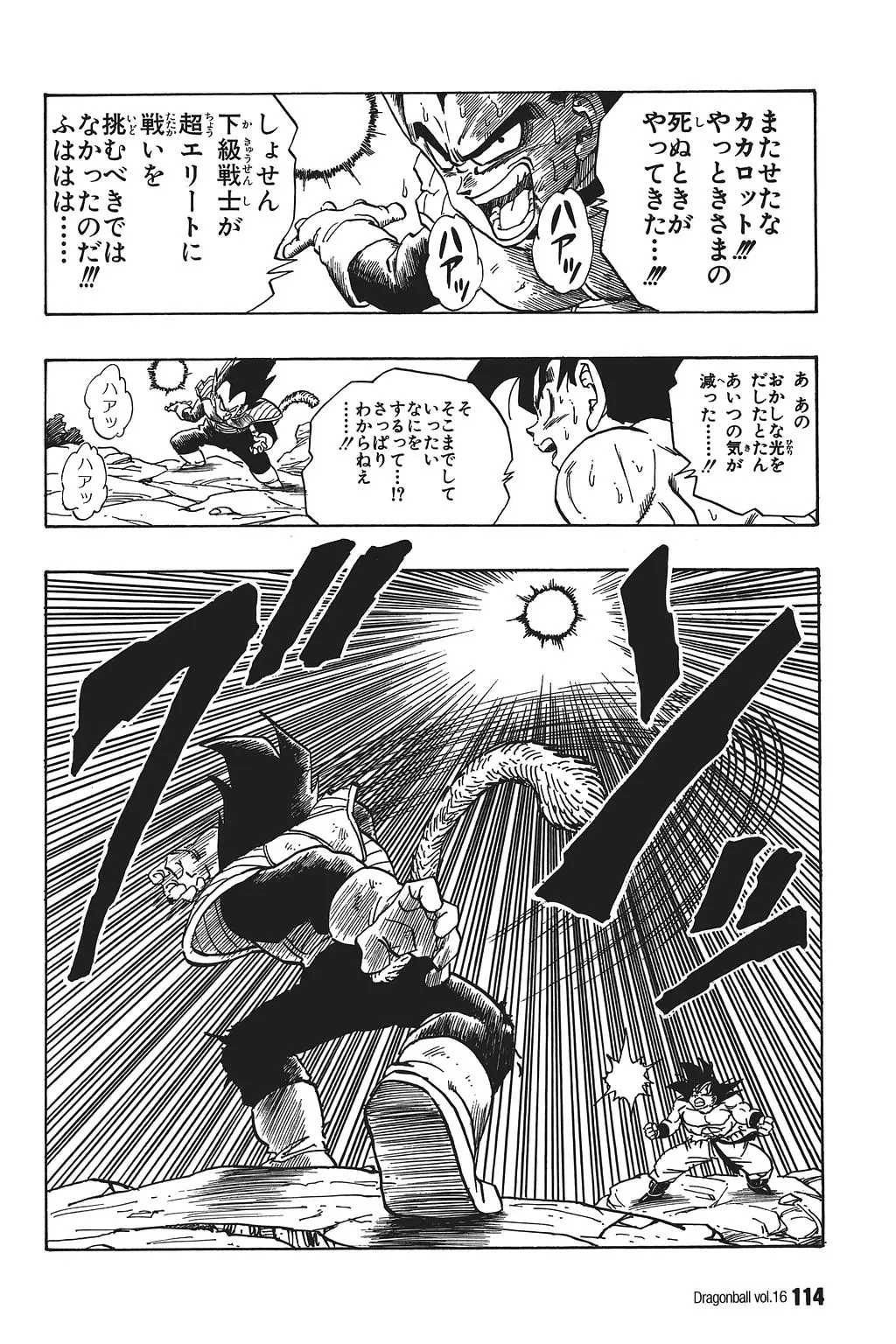 Chapitre 16 — Dragon Ball Kanzenban Vol. 16 — page 119