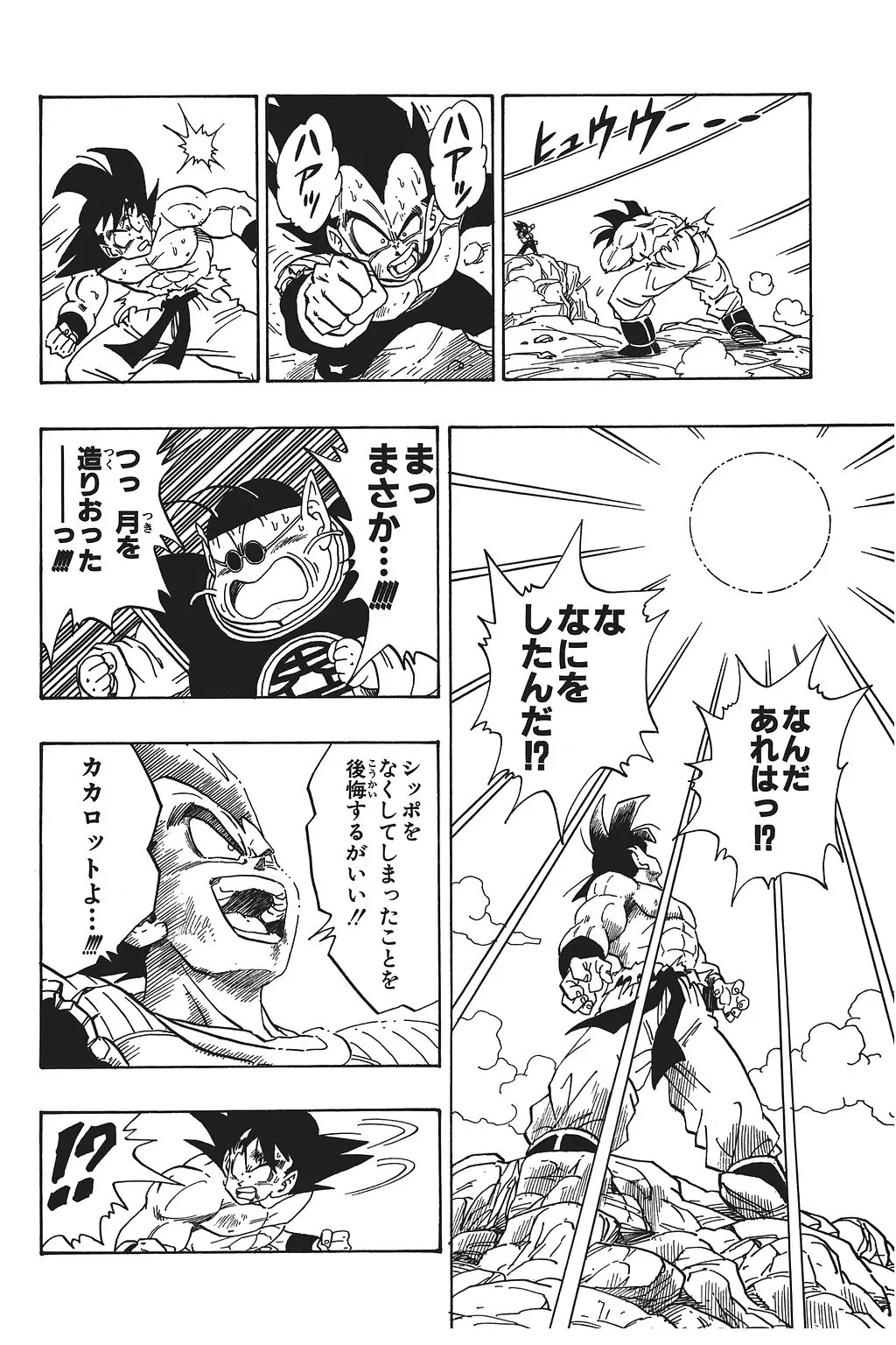 Chapitre 16 — Dragon Ball Kanzenban Vol. 16 — page 121