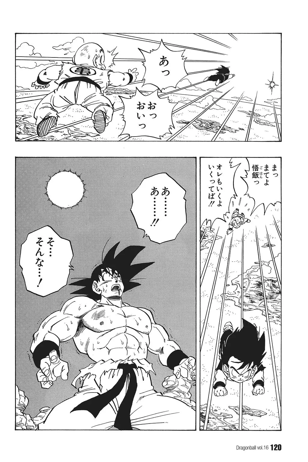 Chapitre 16 — Dragon Ball Kanzenban Vol. 16 — page 125