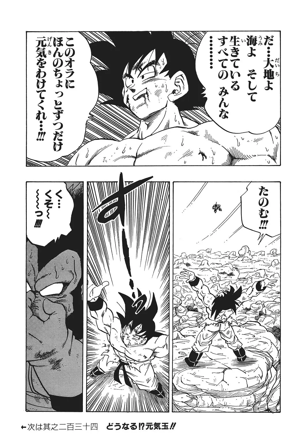 Chapitre 16 — Dragon Ball Kanzenban Vol. 16 — page 136