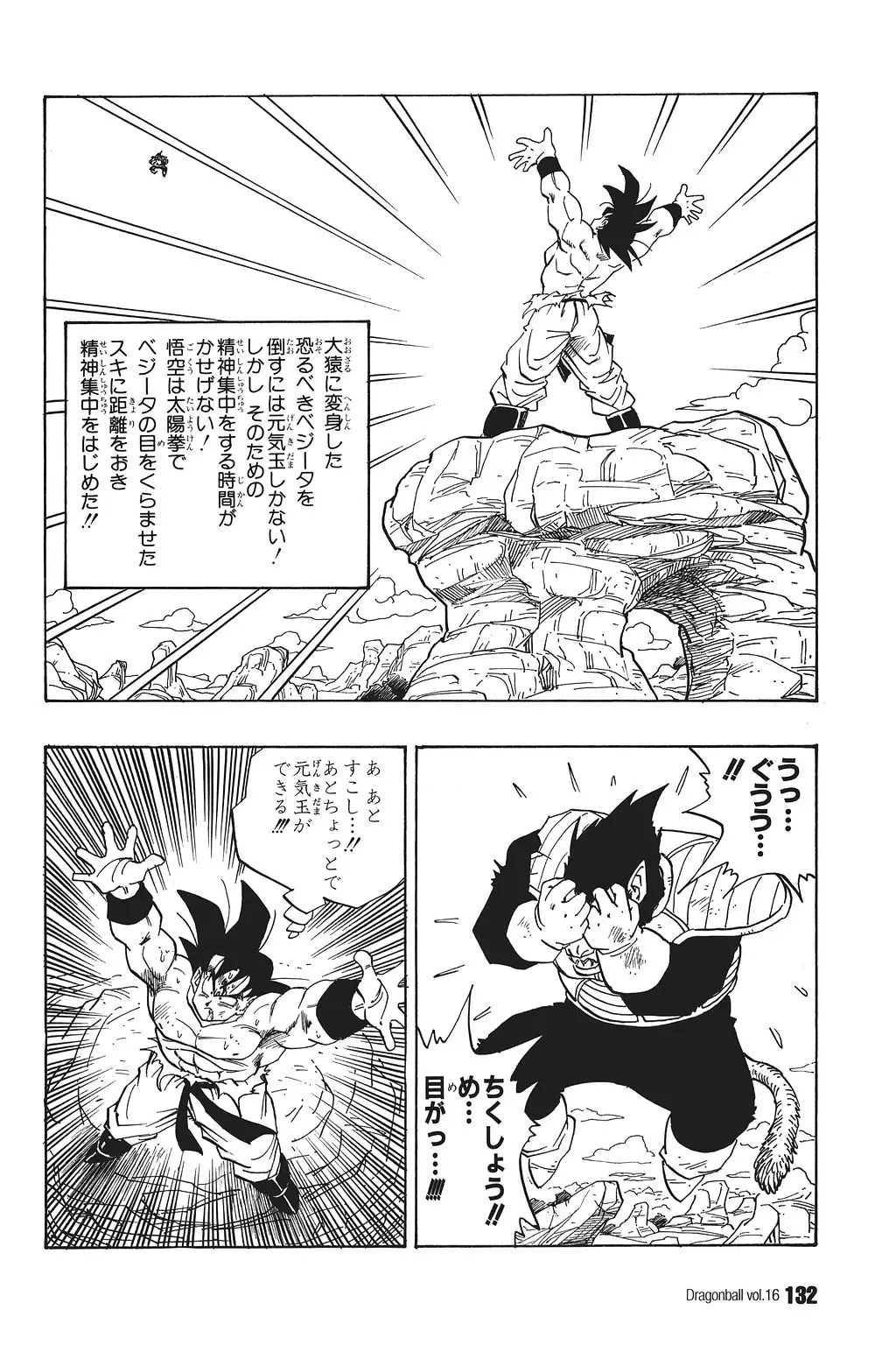Chapitre 16 — Dragon Ball Kanzenban Vol. 16 — page 137