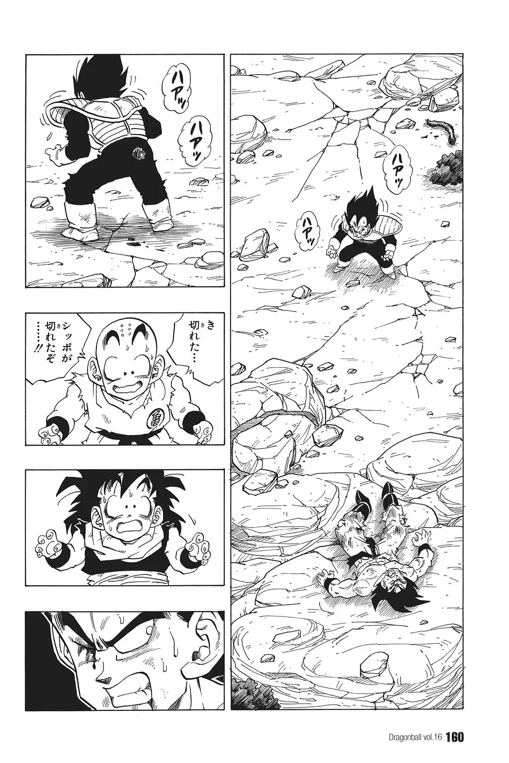 Chapitre 16 — Dragon Ball Kanzenban Vol. 16 — page 165