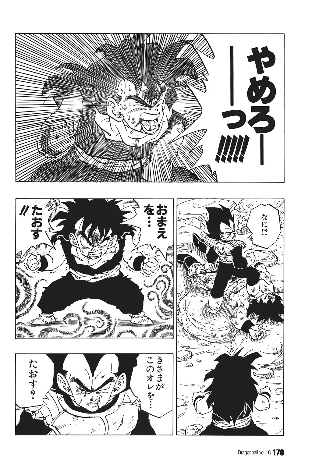 Chapitre 16 — Dragon Ball Kanzenban Vol. 16 — page 175