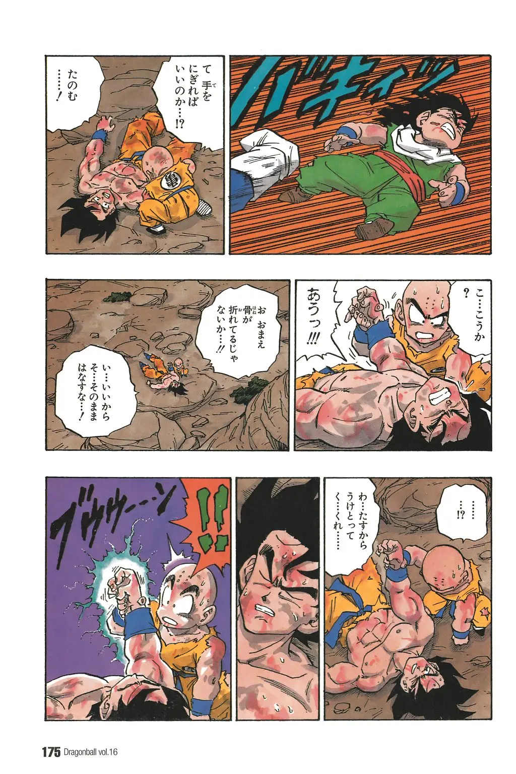Chapitre 16 — Dragon Ball Kanzenban Vol. 16 — page 180