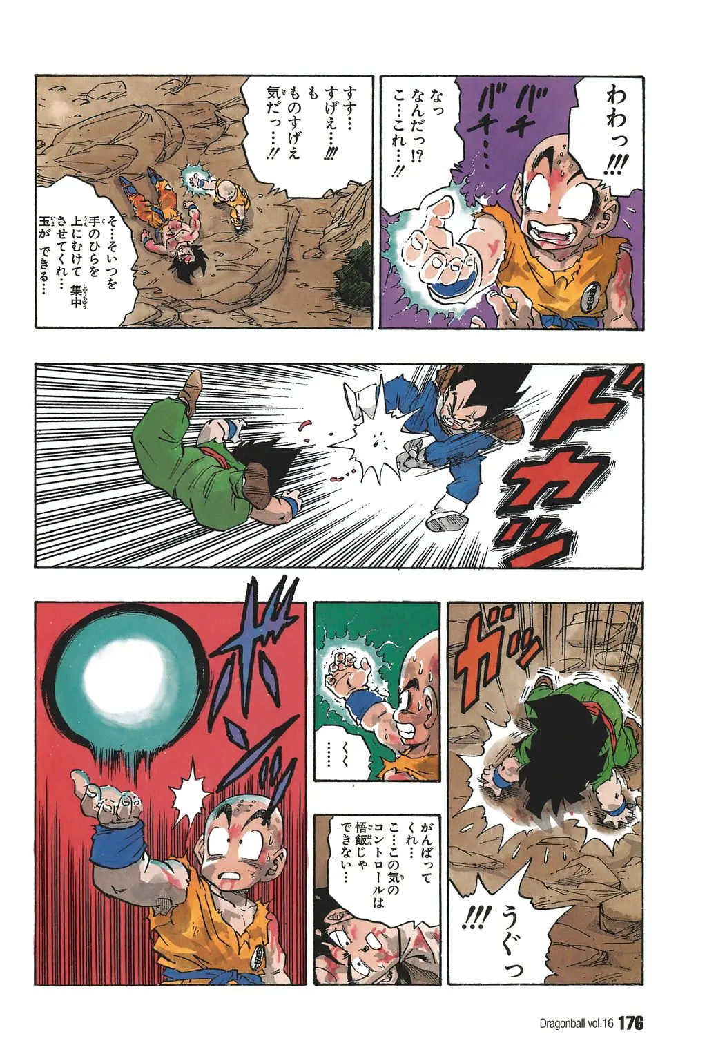 Chapitre 16 — Dragon Ball Kanzenban Vol. 16 — page 181