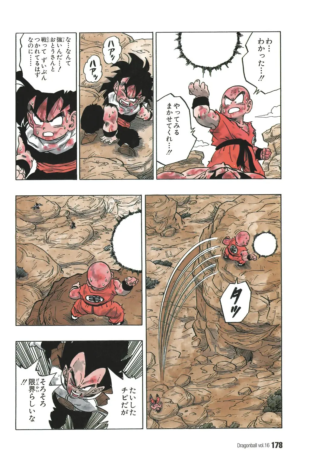 Chapitre 16 — Dragon Ball Kanzenban Vol. 16 — page 183