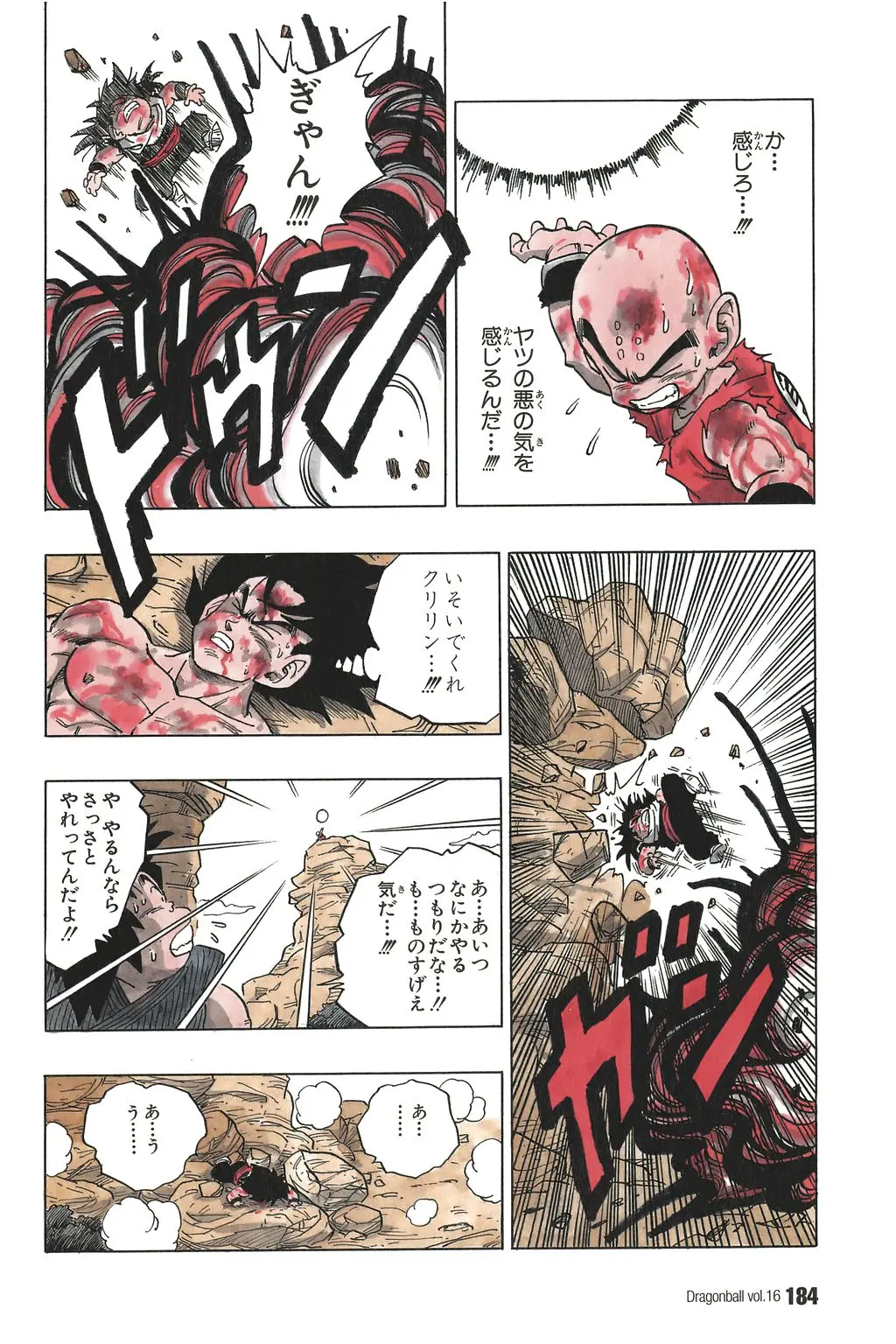 Chapitre 16 — Dragon Ball Kanzenban Vol. 16 — page 189