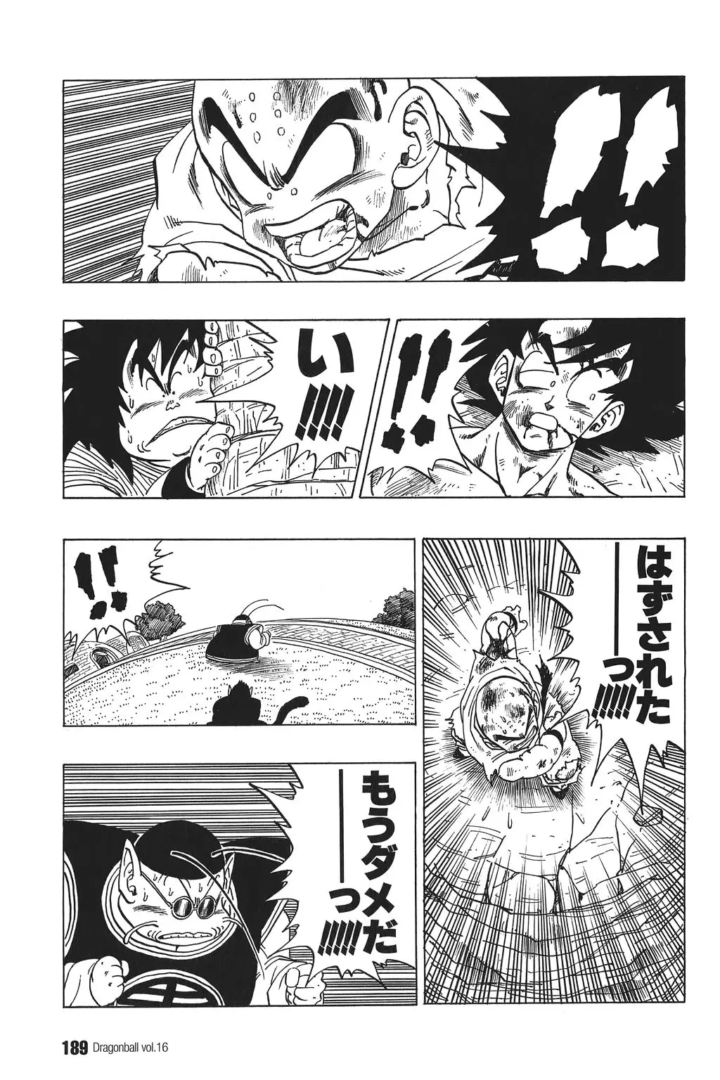 Chapitre 16 — Dragon Ball Kanzenban Vol. 16 — page 194