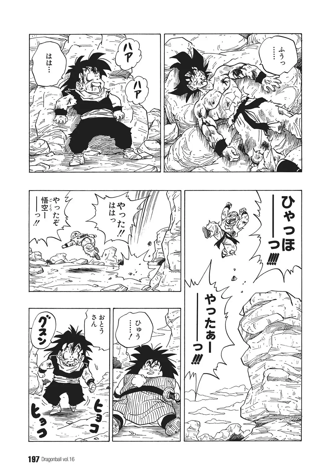 Chapitre 16 — Dragon Ball Kanzenban Vol. 16 — page 202