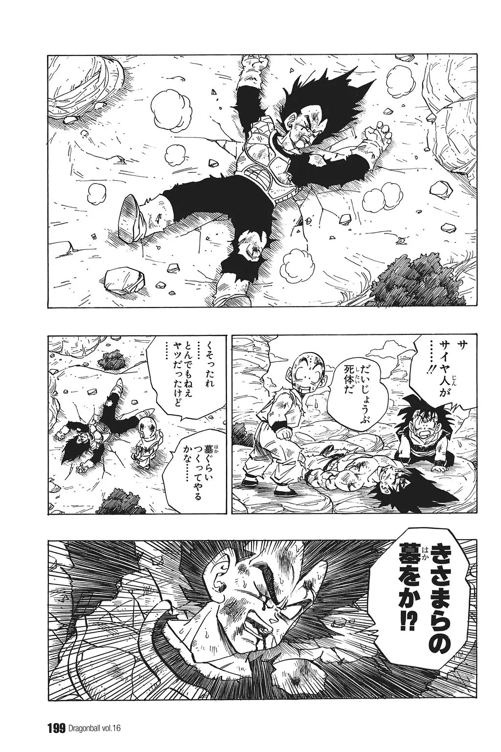 Chapitre 16 — Dragon Ball Kanzenban Vol. 16 — page 204