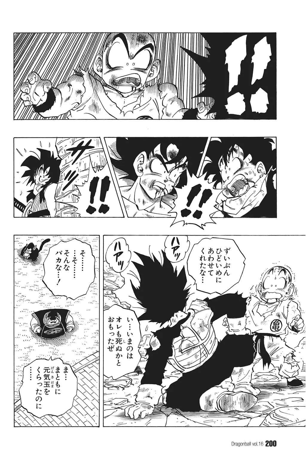 Chapitre 16 — Dragon Ball Kanzenban Vol. 16 — page 205