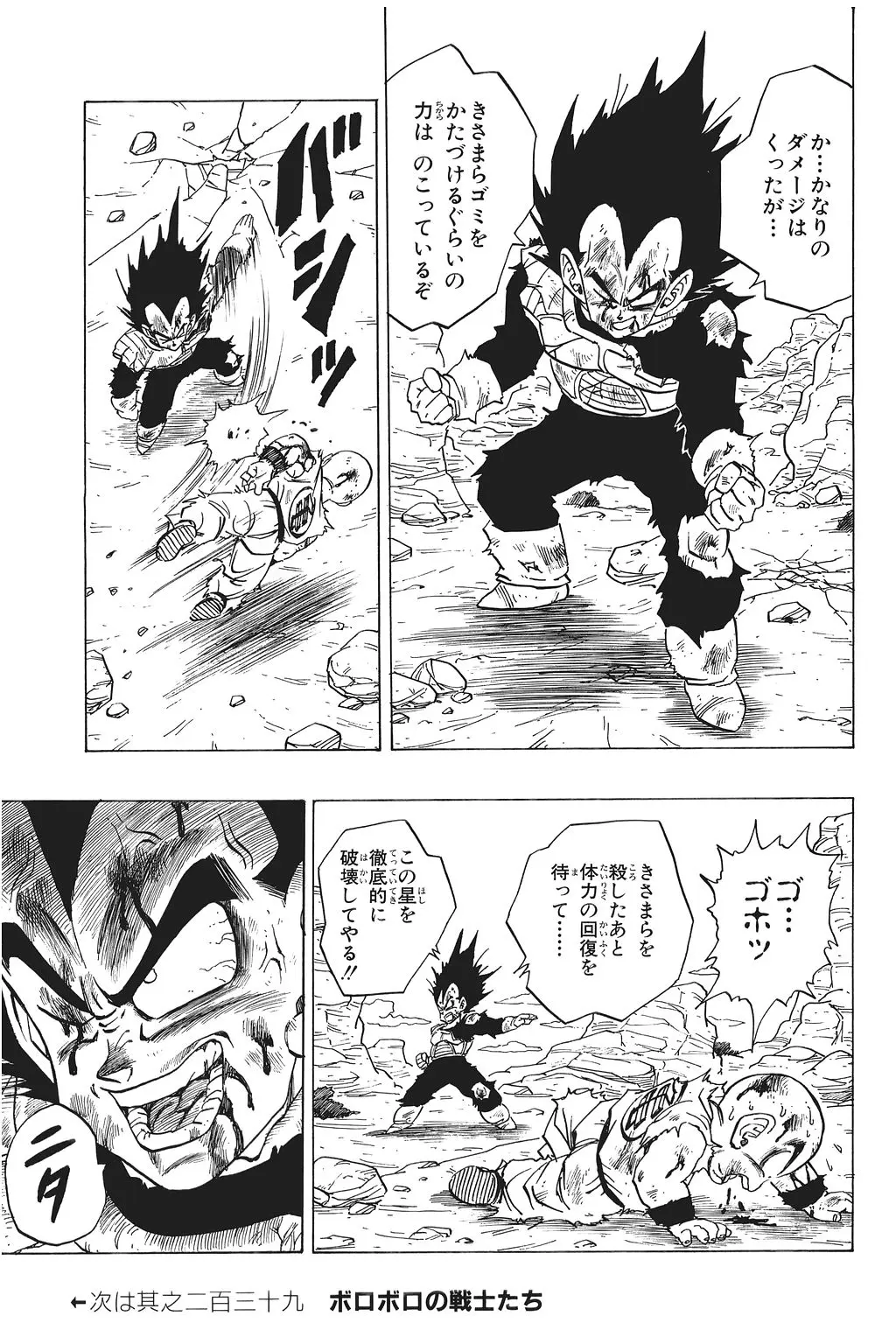 Chapitre 16 — Dragon Ball Kanzenban Vol. 16 — page 206