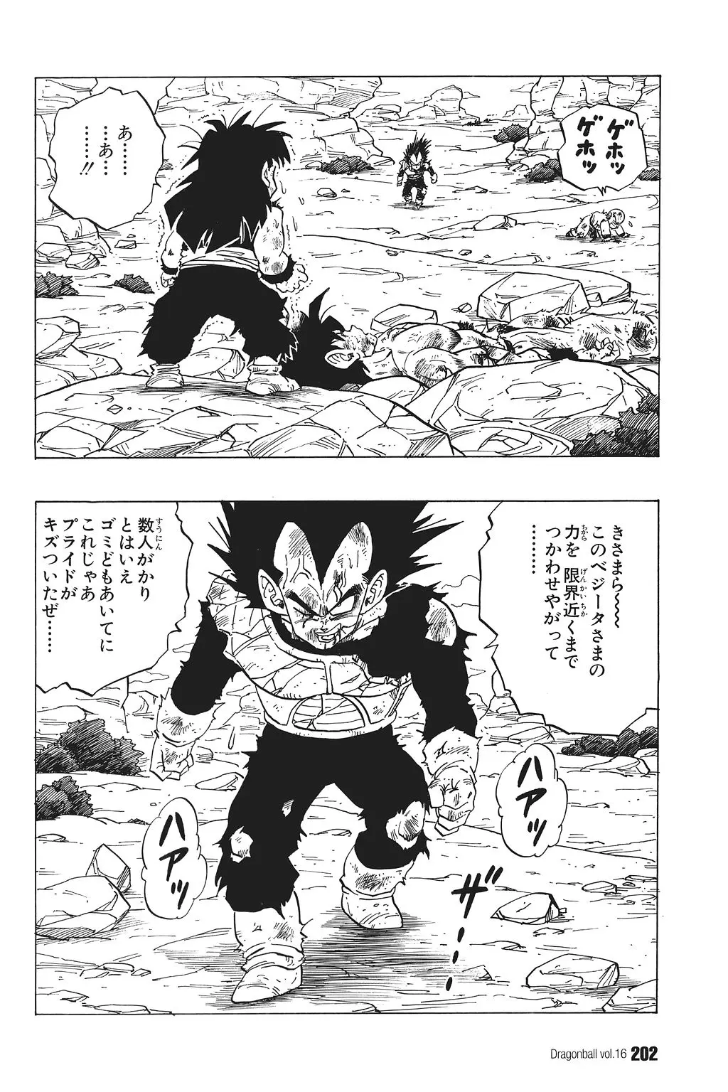 Chapitre 16 — Dragon Ball Kanzenban Vol. 16 — page 207
