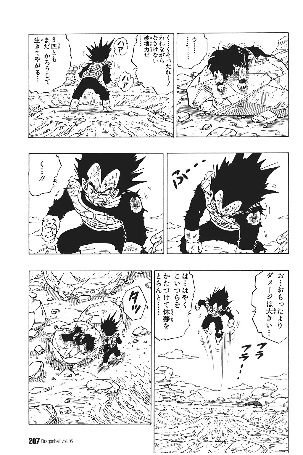 Chapitre 16 — Dragon Ball Kanzenban Vol. 16 — page 212