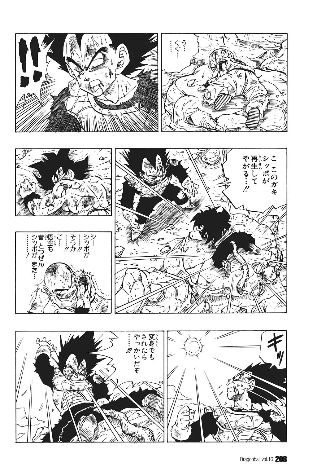 Chapitre 16 — Dragon Ball Kanzenban Vol. 16 — page 213