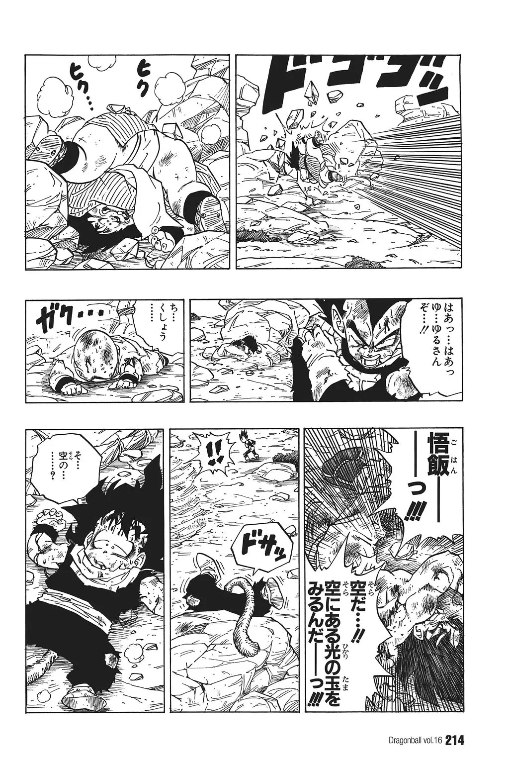 Chapitre 16 — Dragon Ball Kanzenban Vol. 16 — page 219