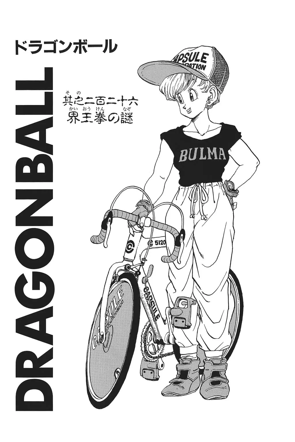Chapitre 16 — Dragon Ball Kanzenban Vol. 16 — page 223