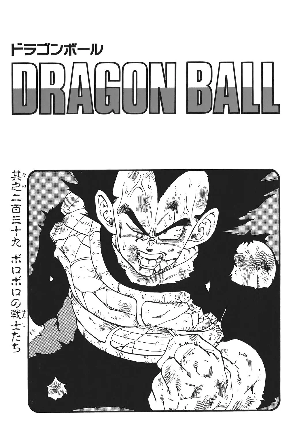 Chapitre 16 — Dragon Ball Kanzenban Vol. 16 — page 236
