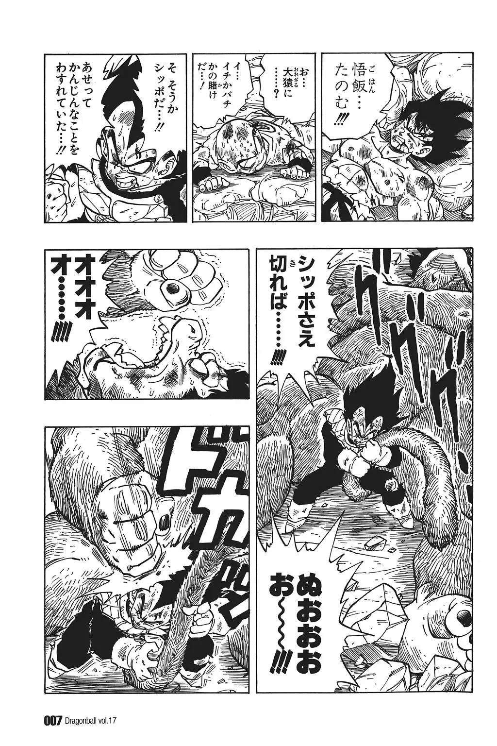 Chapitre 17 — Dragon Ball Kanzenban Vol. 17 — page 12