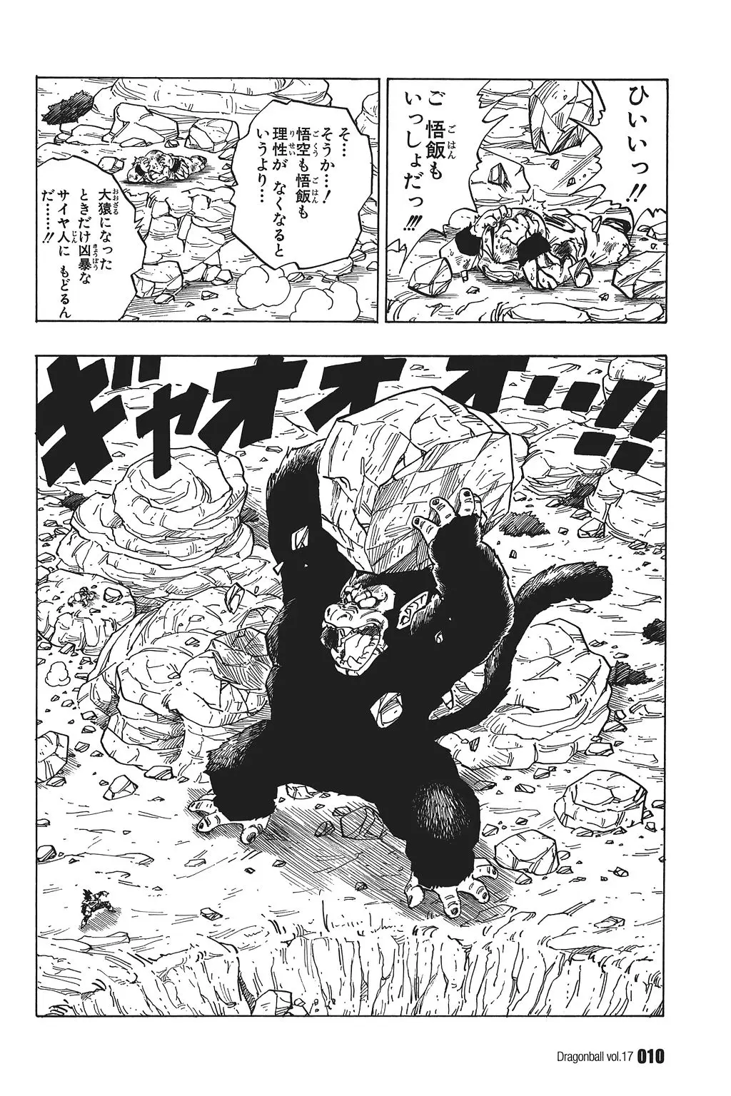 Chapitre 17 — Dragon Ball Kanzenban Vol. 17 — page 15