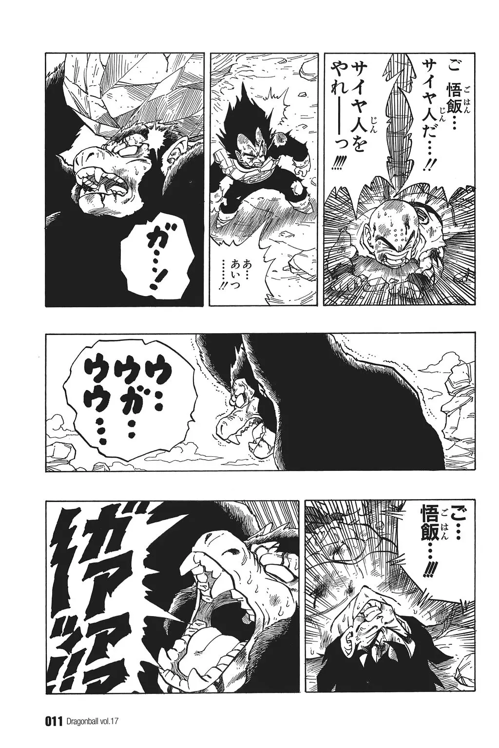 Chapitre 17 — Dragon Ball Kanzenban Vol. 17 — page 16
