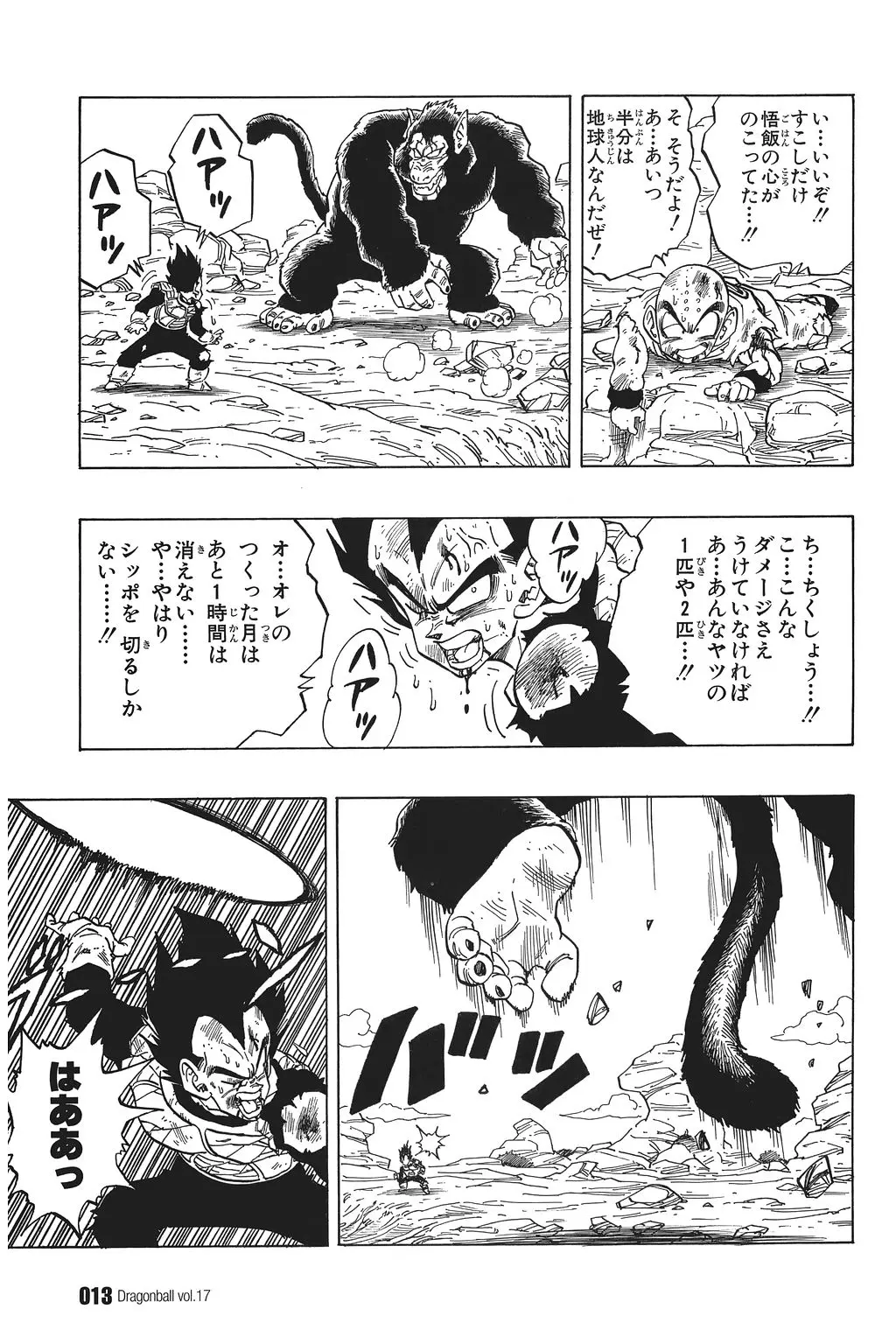 Chapitre 17 — Dragon Ball Kanzenban Vol. 17 — page 18