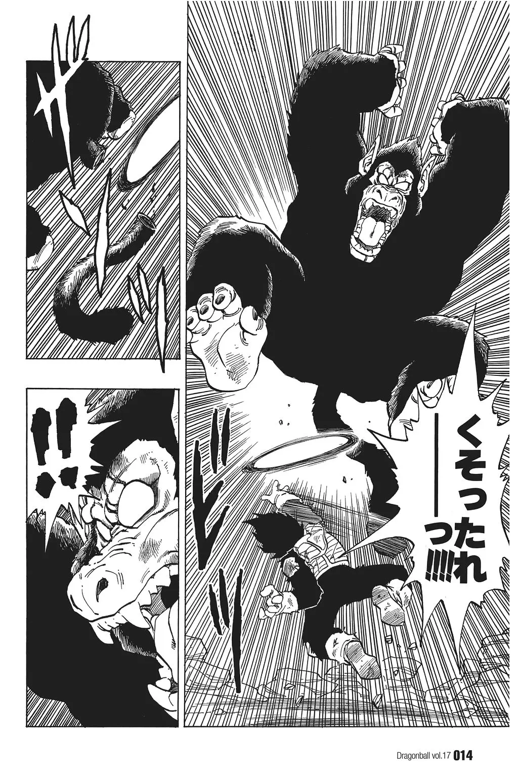 Chapitre 17 — Dragon Ball Kanzenban Vol. 17 — page 19