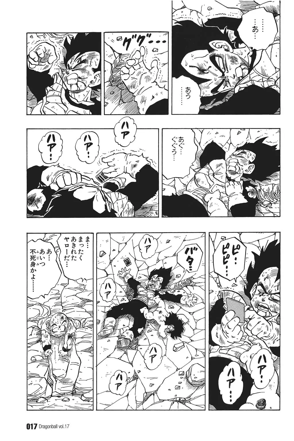Chapitre 17 — Dragon Ball Kanzenban Vol. 17 — page 22