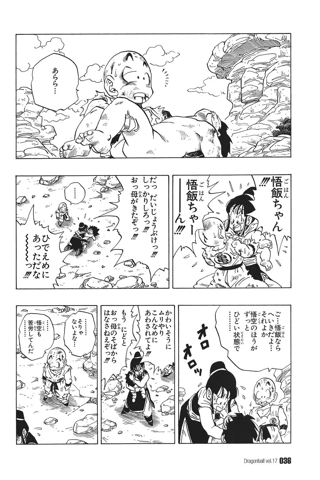 Chapitre 17 — Dragon Ball Kanzenban Vol. 17 — page 41