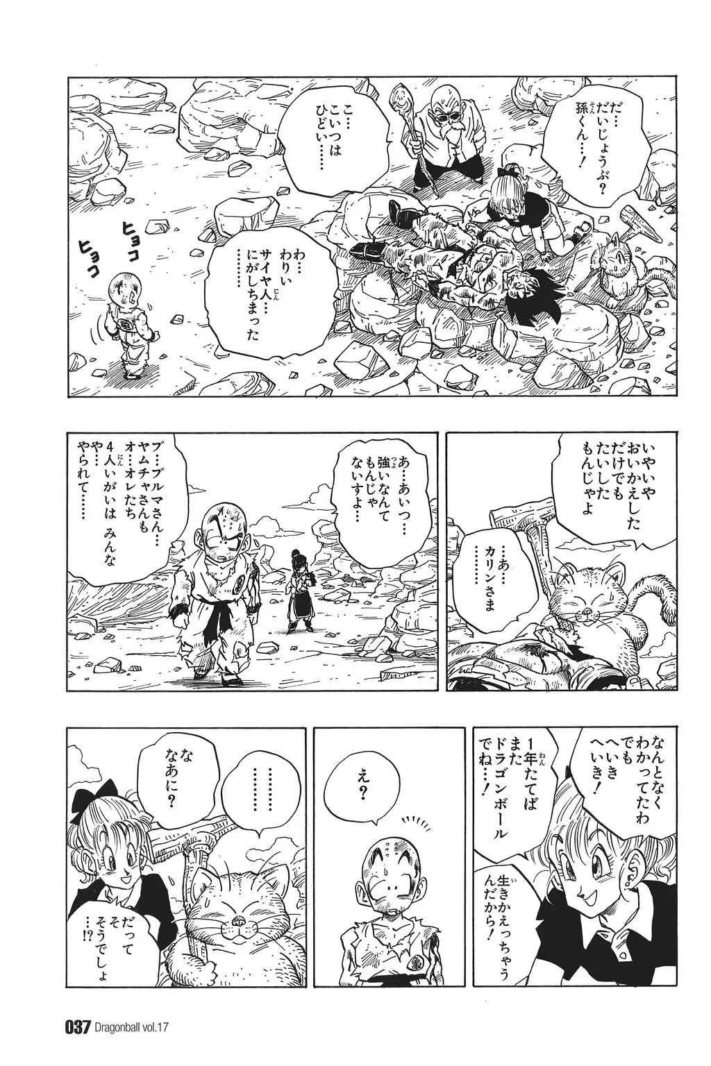 Chapitre 17 — Dragon Ball Kanzenban Vol. 17 — page 42