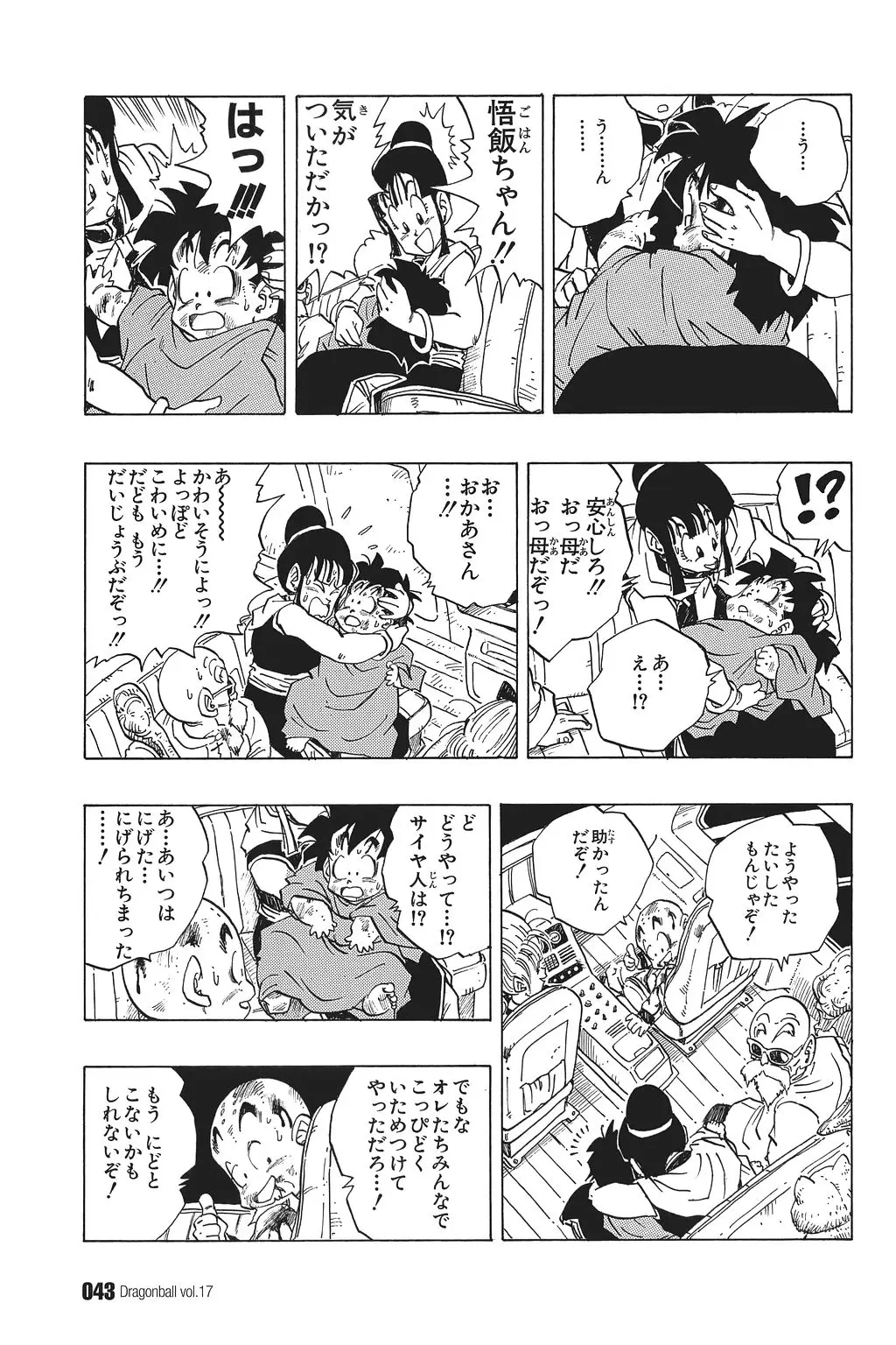 Chapitre 17 — Dragon Ball Kanzenban Vol. 17 — page 48