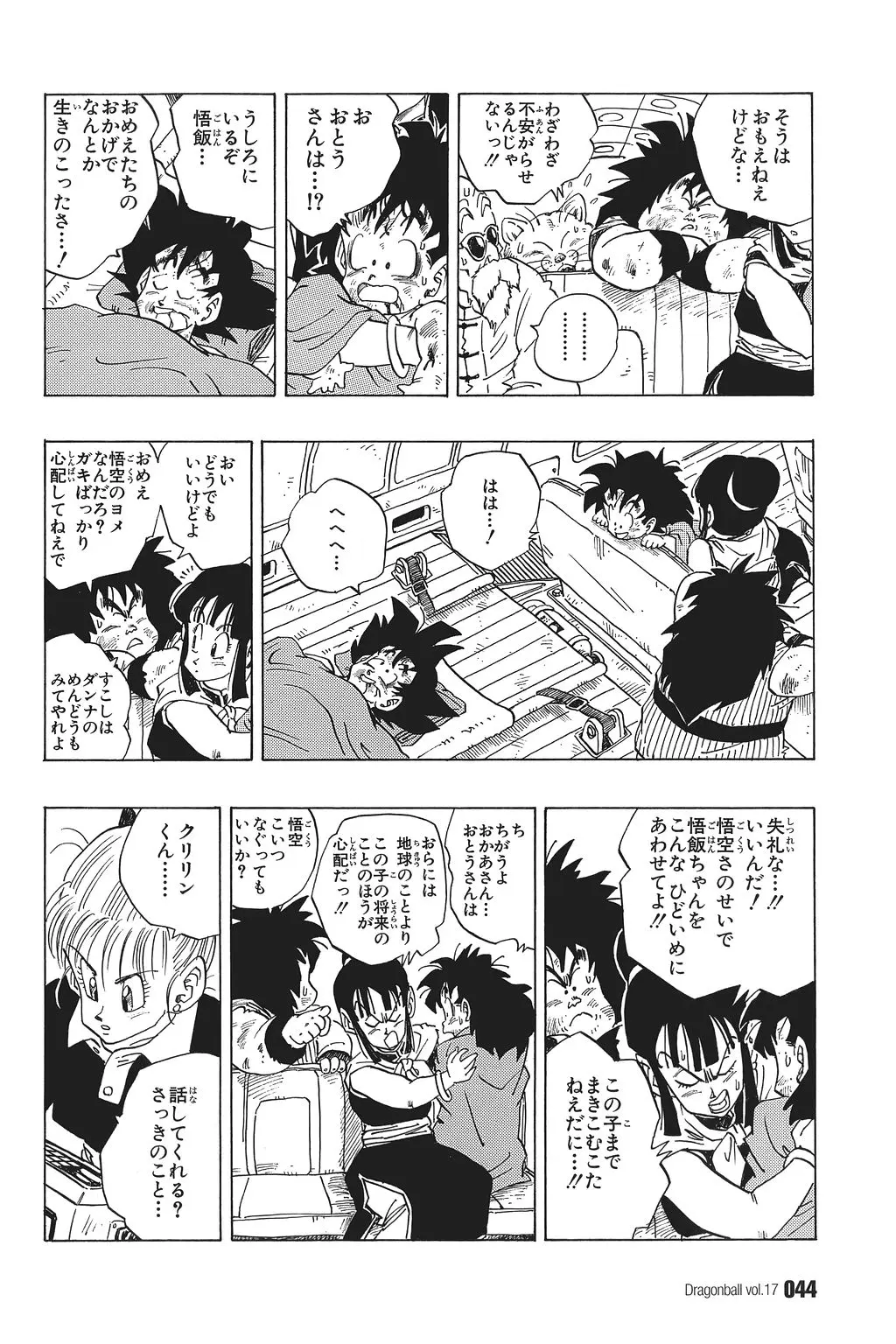 Chapitre 17 — Dragon Ball Kanzenban Vol. 17 — page 49