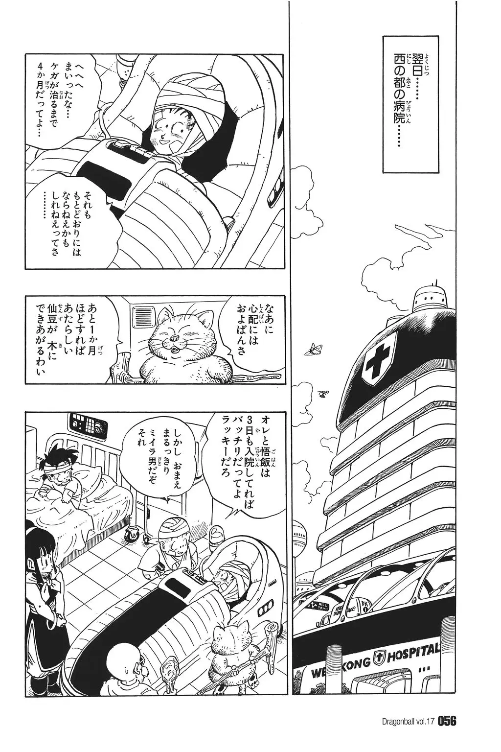 Chapitre 17 — Dragon Ball Kanzenban Vol. 17 — page 61