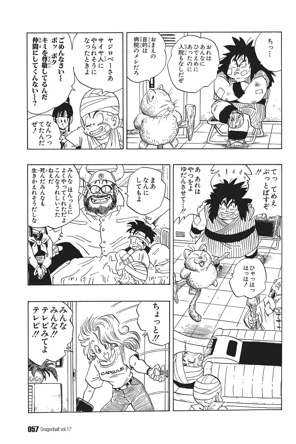 Chapitre 17 — Dragon Ball Kanzenban Vol. 17 — page 62