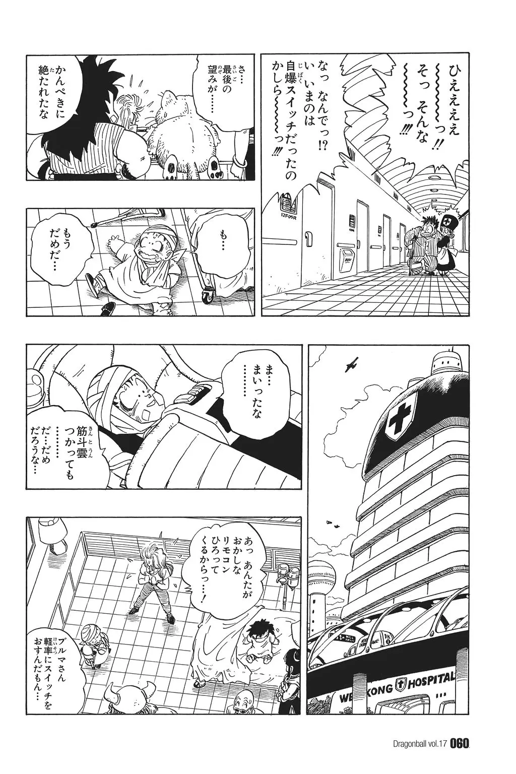 Chapitre 17 — Dragon Ball Kanzenban Vol. 17 — page 65