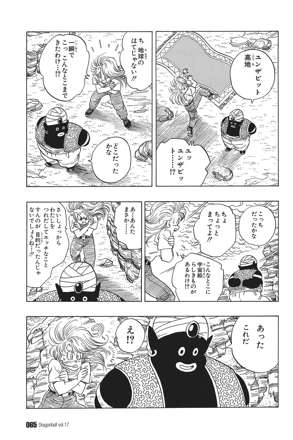Chapitre 17 — Dragon Ball Kanzenban Vol. 17 — page 70