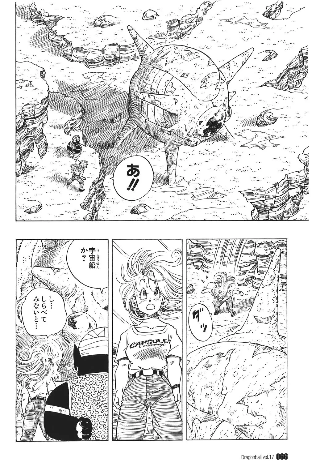 Chapitre 17 — Dragon Ball Kanzenban Vol. 17 — page 71