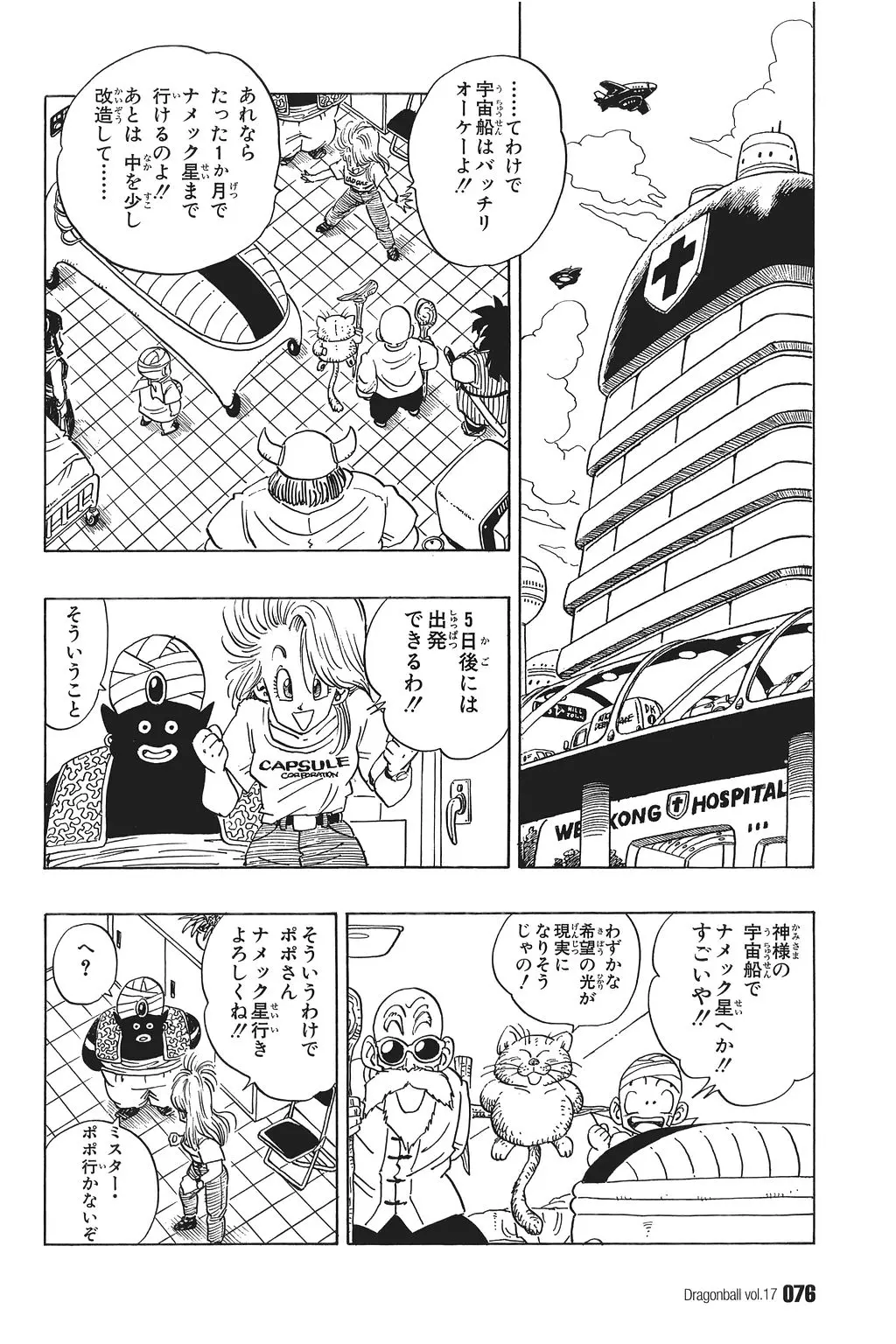 Chapitre 17 — Dragon Ball Kanzenban Vol. 17 — page 81
