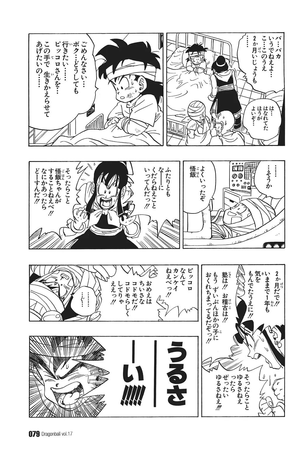 Chapitre 17 — Dragon Ball Kanzenban Vol. 17 — page 84