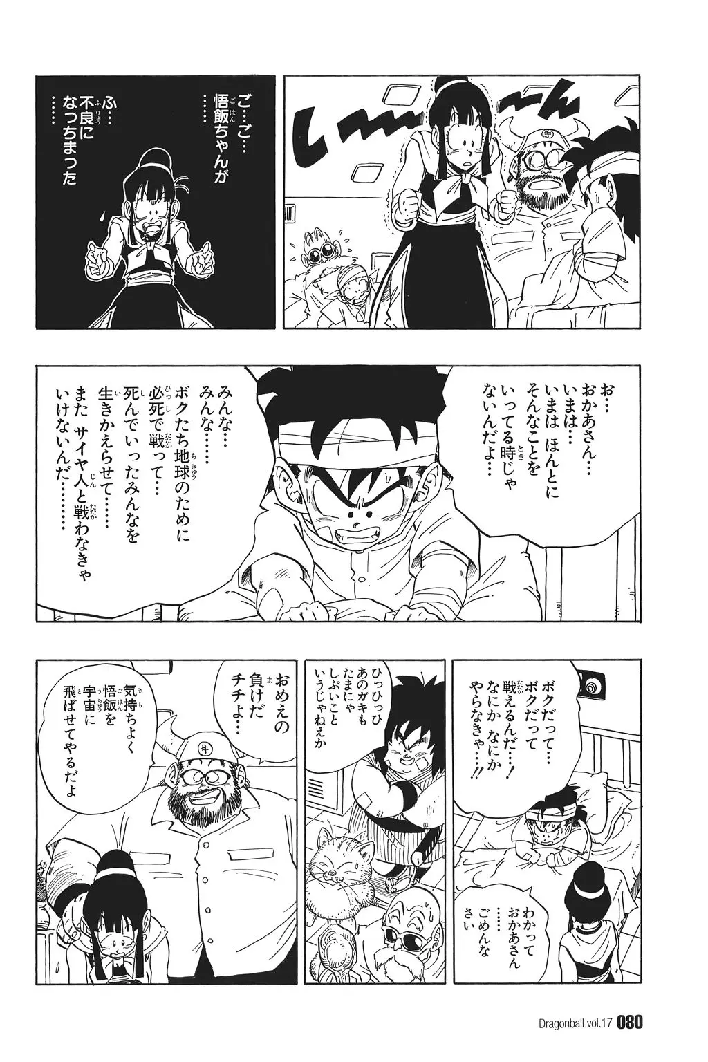 Chapitre 17 — Dragon Ball Kanzenban Vol. 17 — page 85