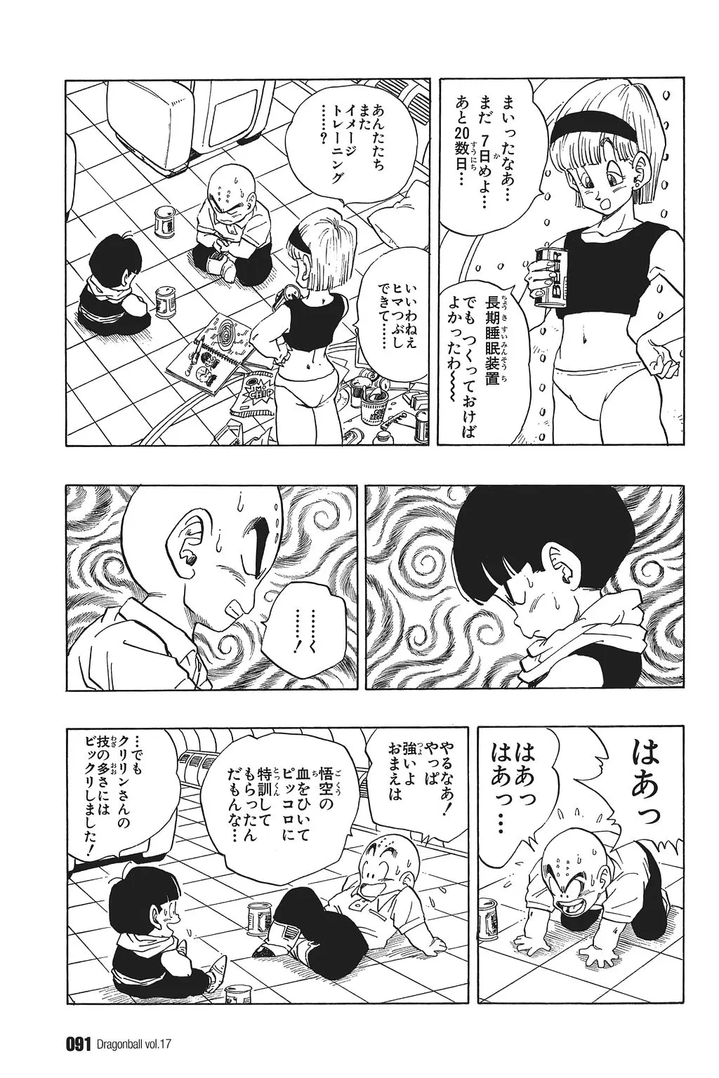 Chapitre 17 — Dragon Ball Kanzenban Vol. 17 — page 96