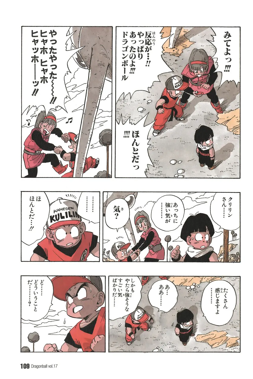 Chapitre 17 — Dragon Ball Kanzenban Vol. 17 — page 114