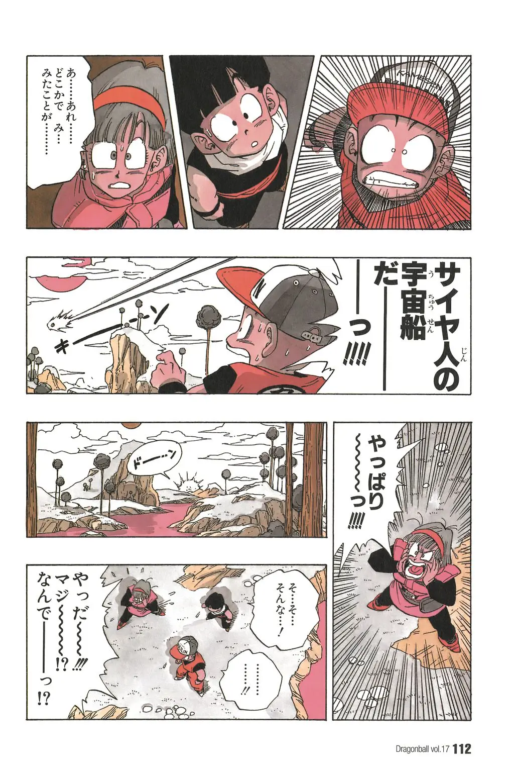 Chapitre 17 — Dragon Ball Kanzenban Vol. 17 — page 117