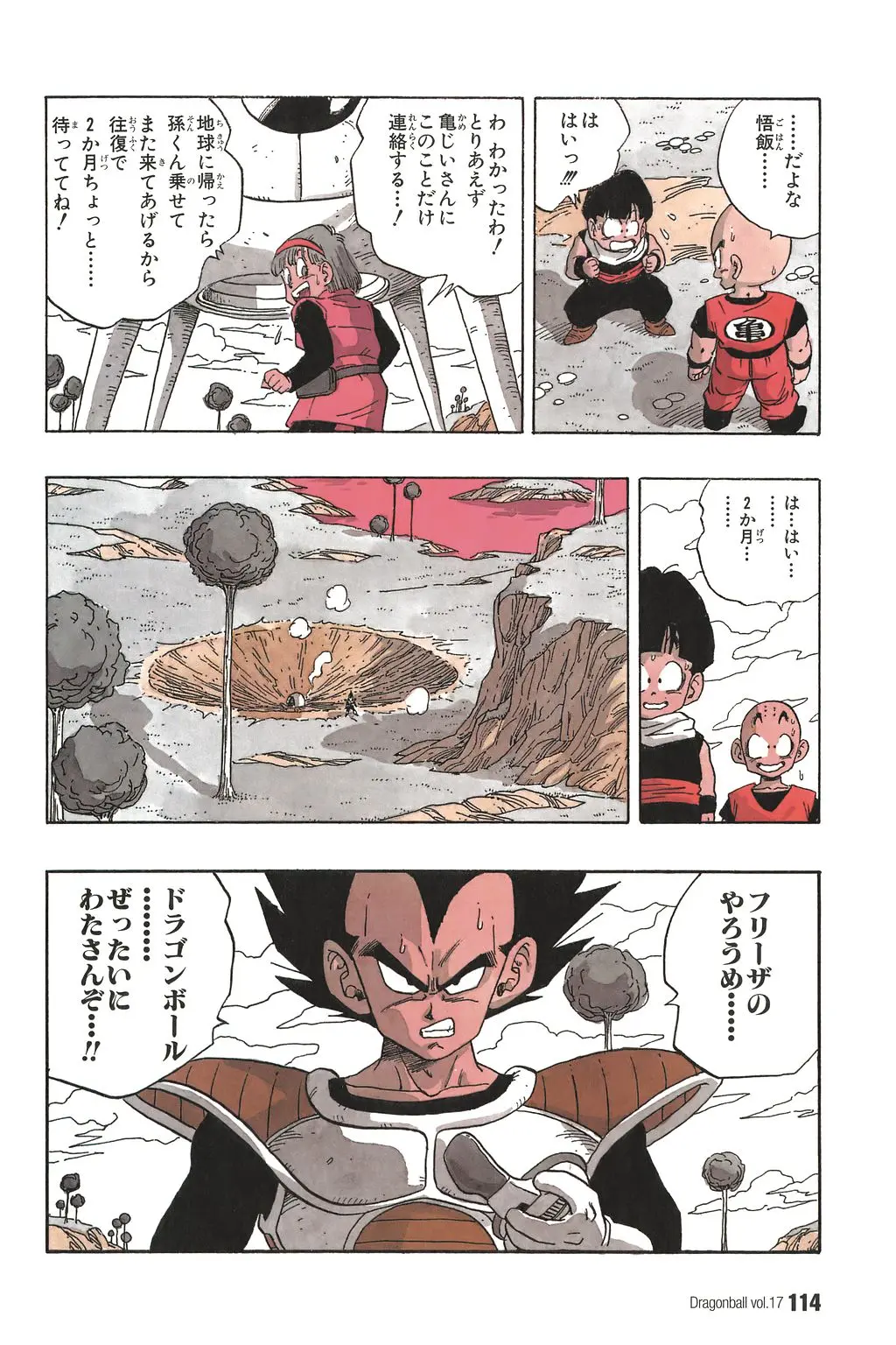 Chapitre 17 — Dragon Ball Kanzenban Vol. 17 — page 119